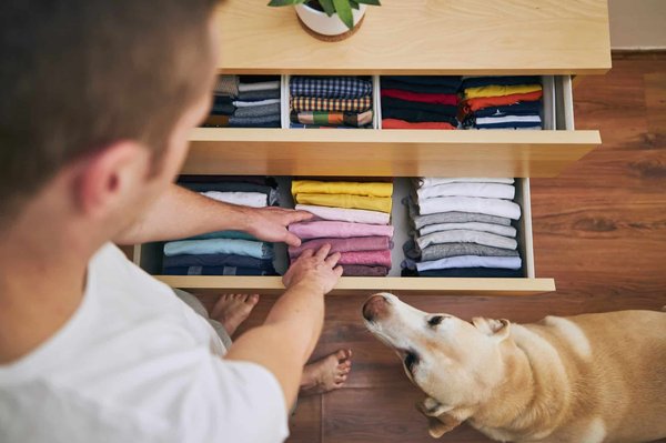 Les organisateurs de tiroir : en quoi sont-ils si pratiques ?