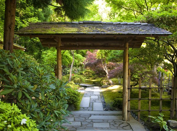 Les conseils et astuces pratique pour créer un jardin zen